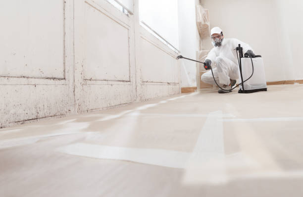 24/7 Emergency Commercial Mold Remediation experts in Sperryville, VA